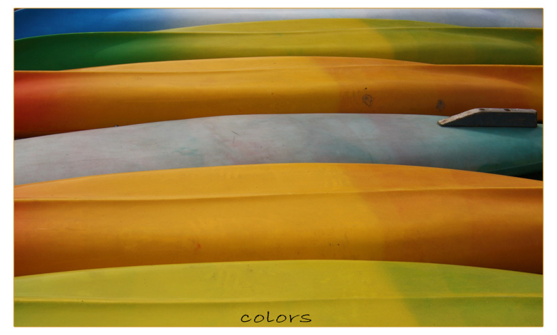 colors von Zoobesucher 