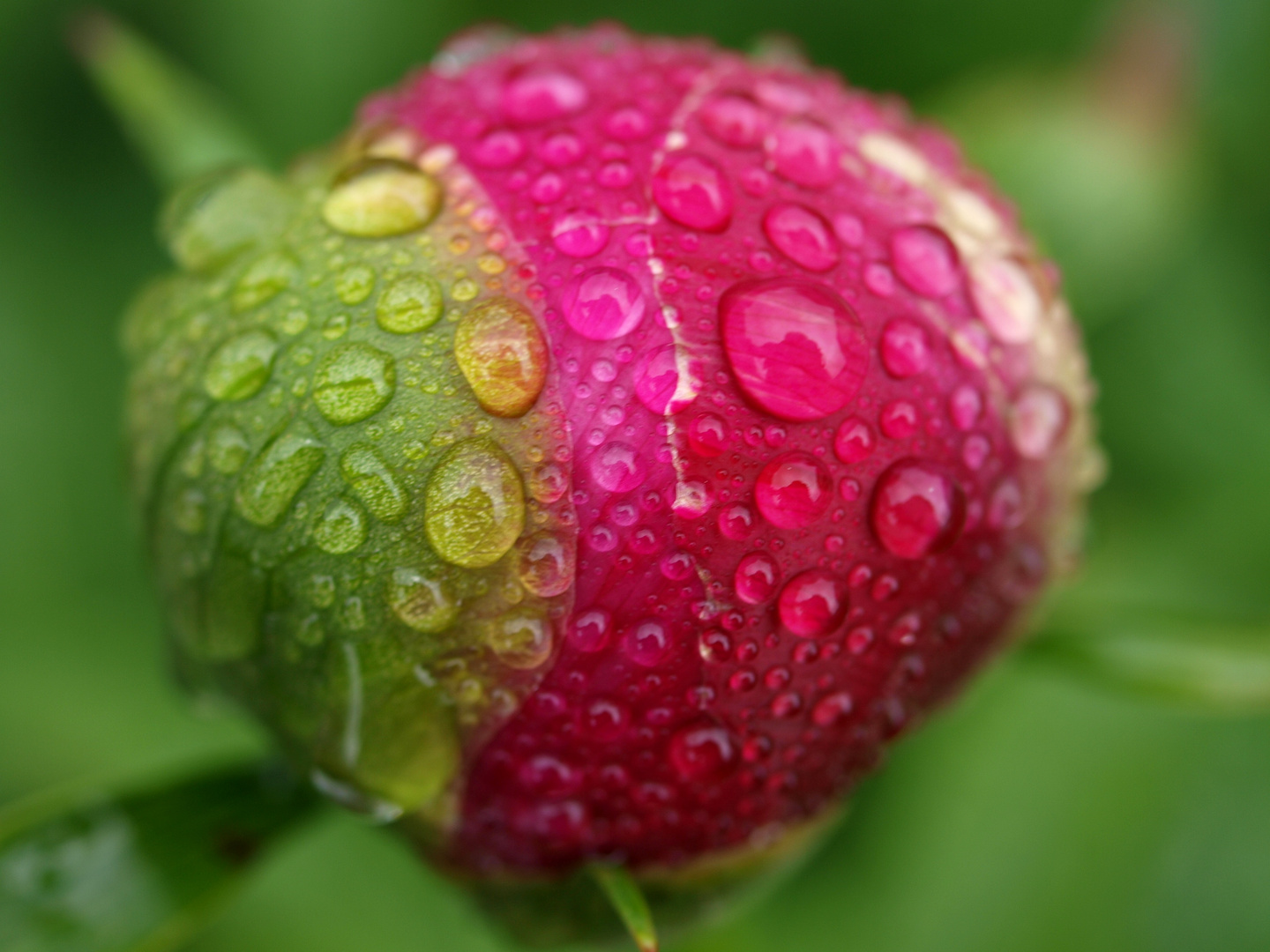 colors and raindrops