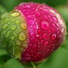 colors and raindrops