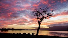 Colors at Loch Lomond