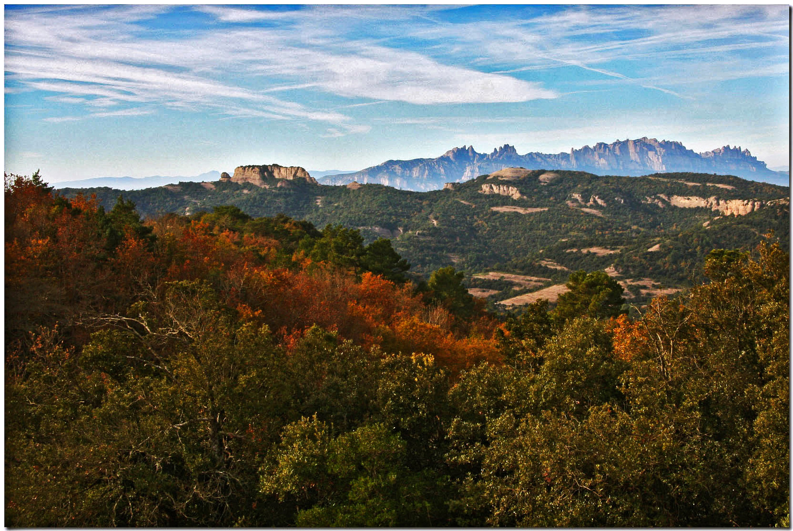 Colors de tardor al Sot de la Bota I