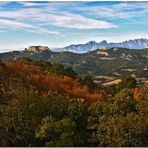 Colors de tardor al Sot de la Bota I