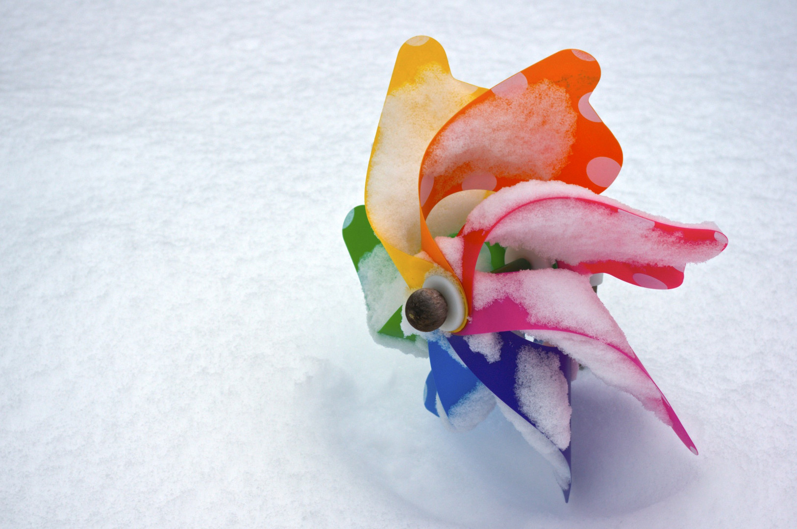 colors in snow