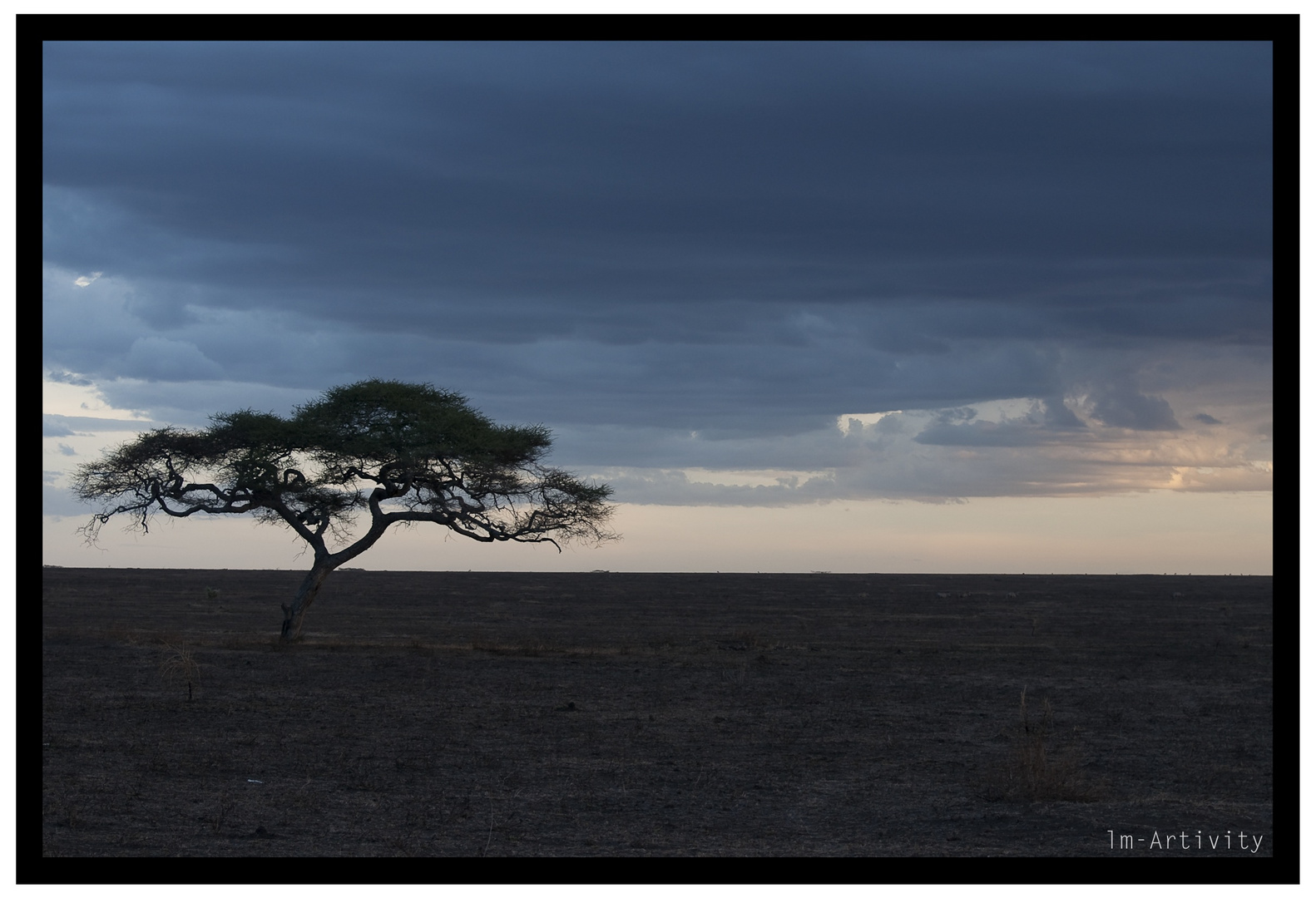 Colors of Africa