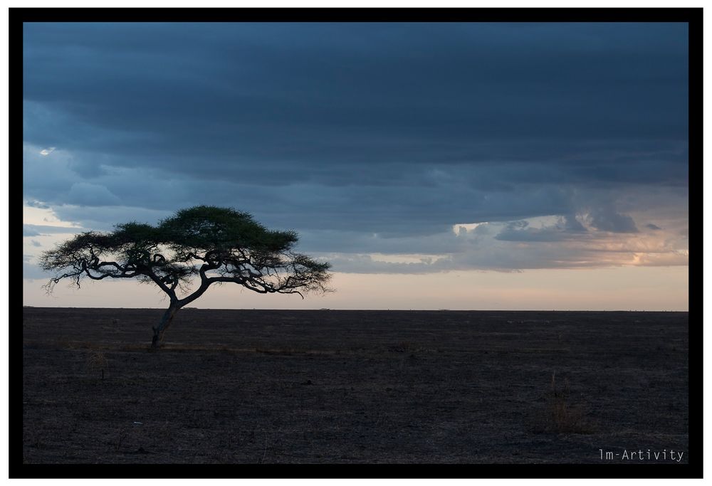 Colors of Africa