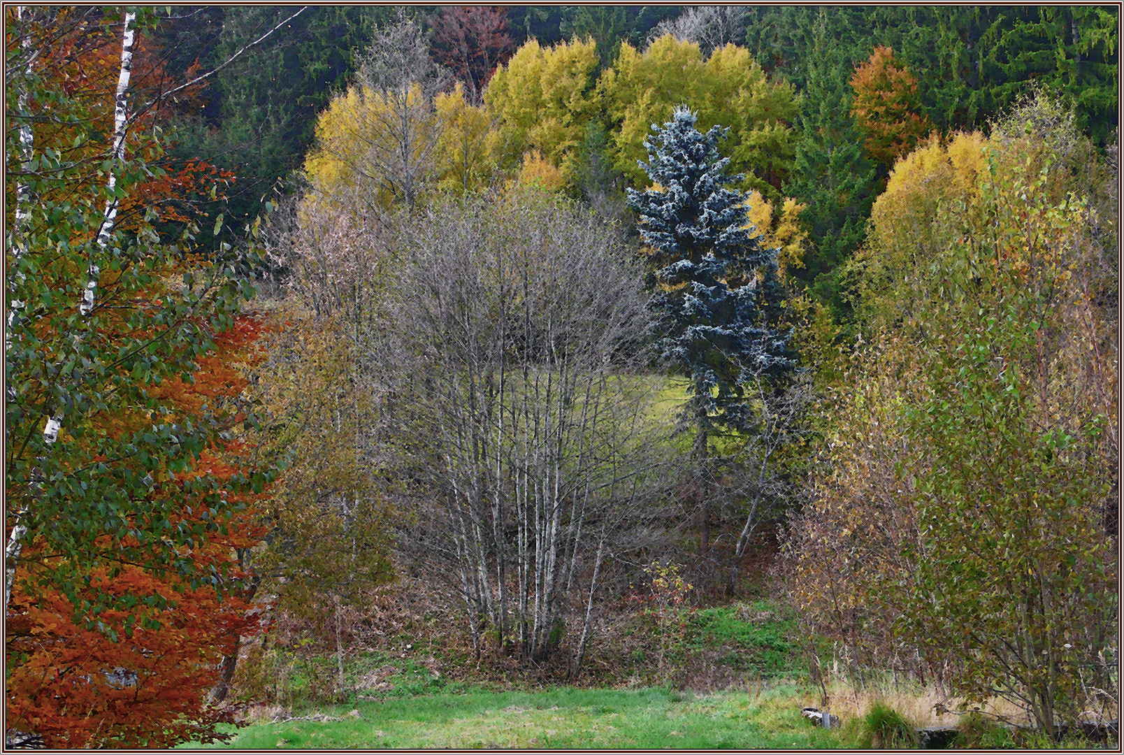 Colors of autumn