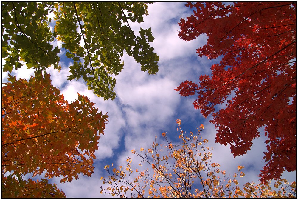 colors of autumn