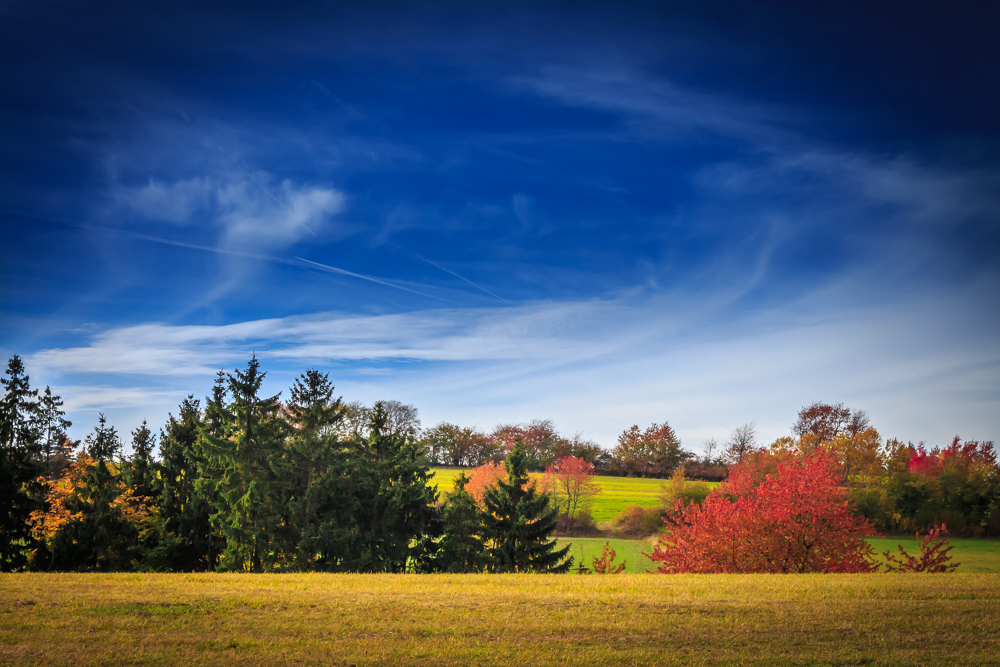 Colors of Autumn