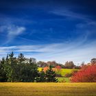 Colors of Autumn