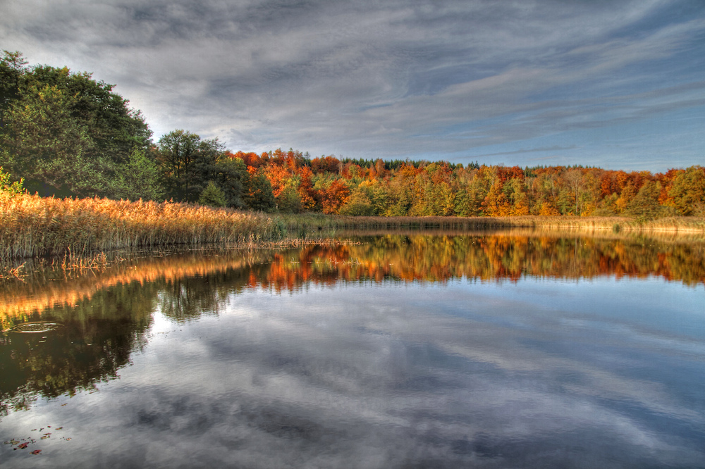 colors of autumn