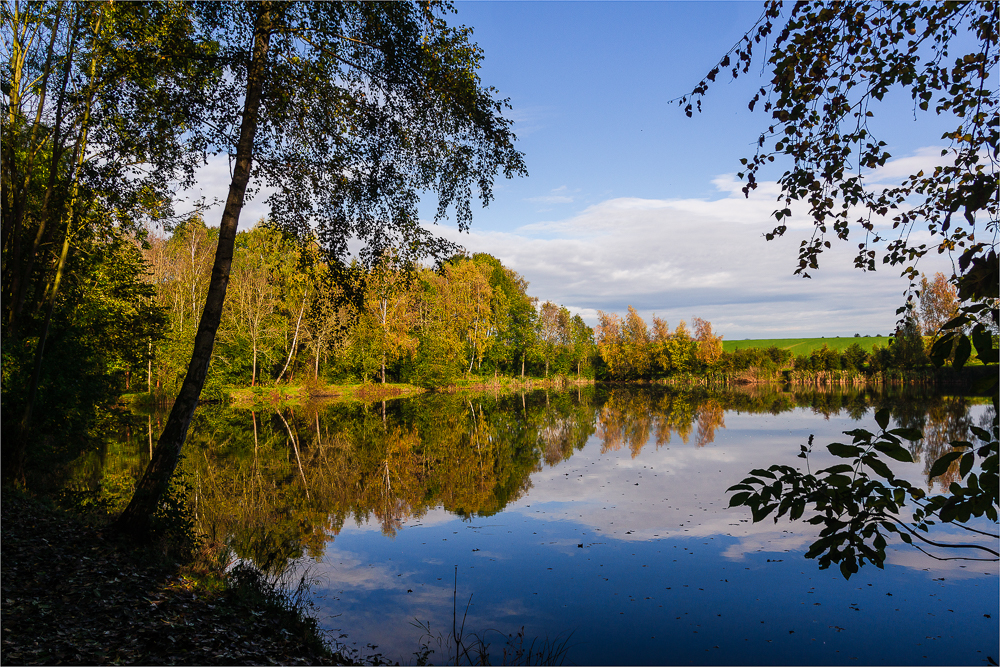 Colors of autumn...