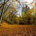 Colors of Autumn