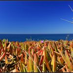 Colors of Big Sur