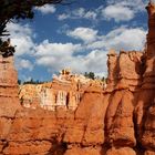 Colors of Bryce Canyon - 4