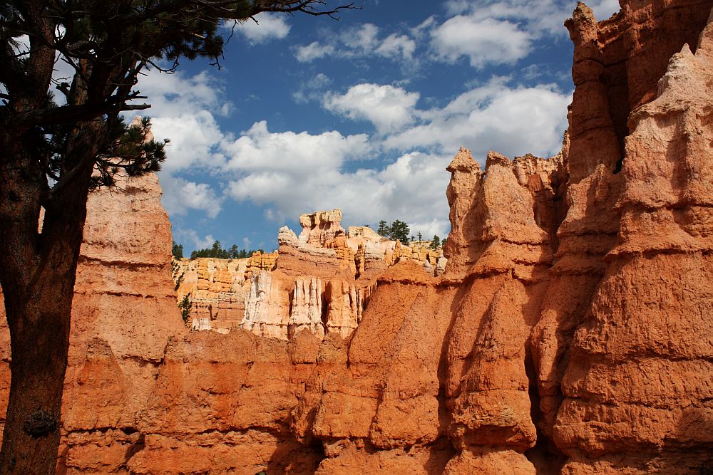 Colors of Bryce Canyon - 4