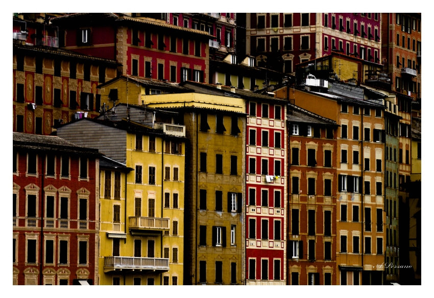 Colors of Camogli