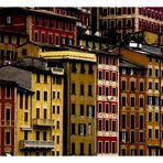 Colors of Camogli