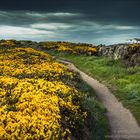 Colors of Cornwall