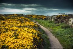 Colors of Cornwall