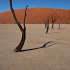 .: Colors of Dead Vlei :.