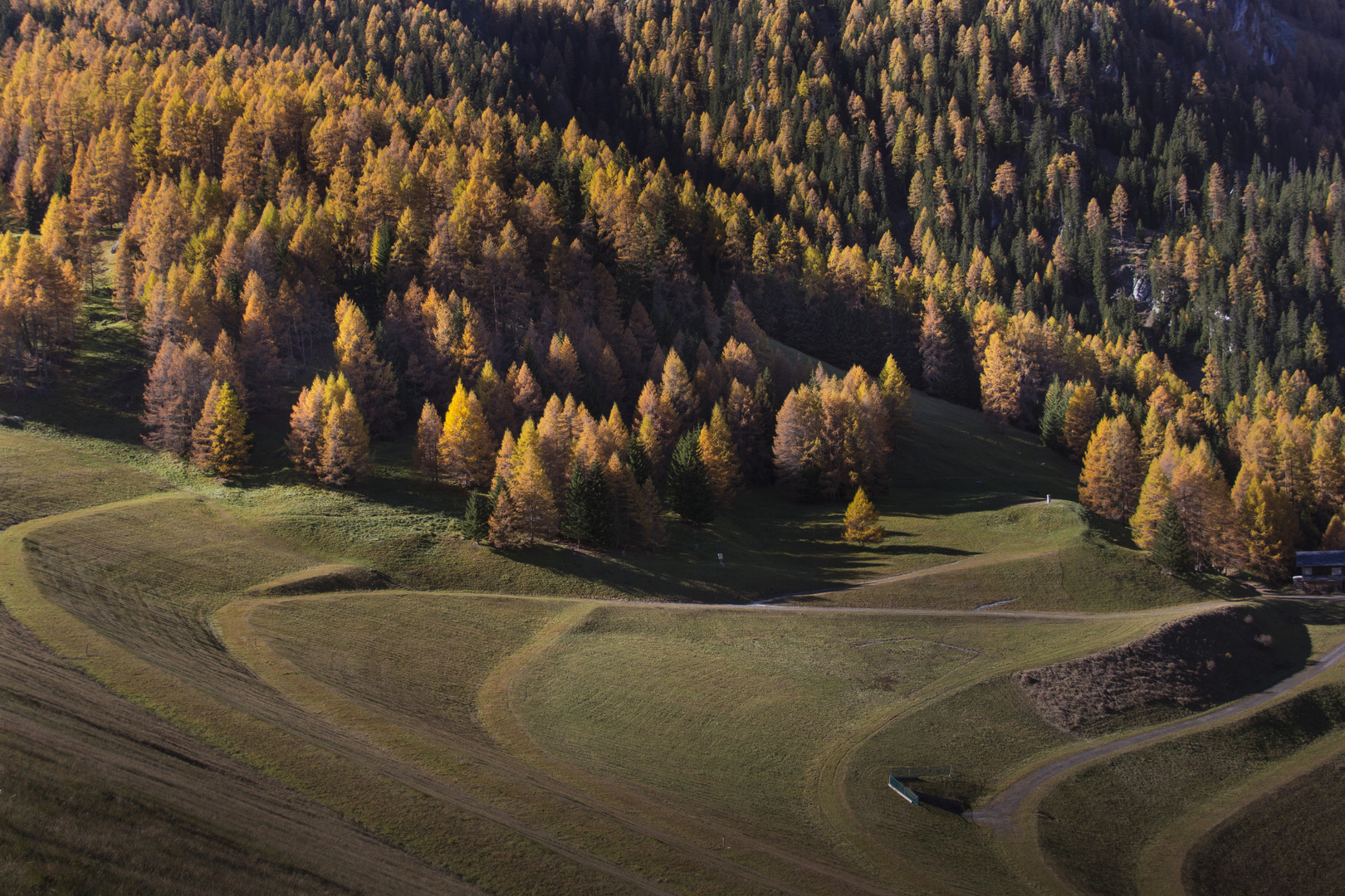 colors of fall