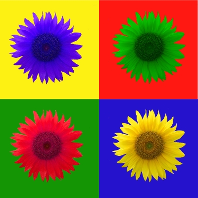 Colors of Flowerpower