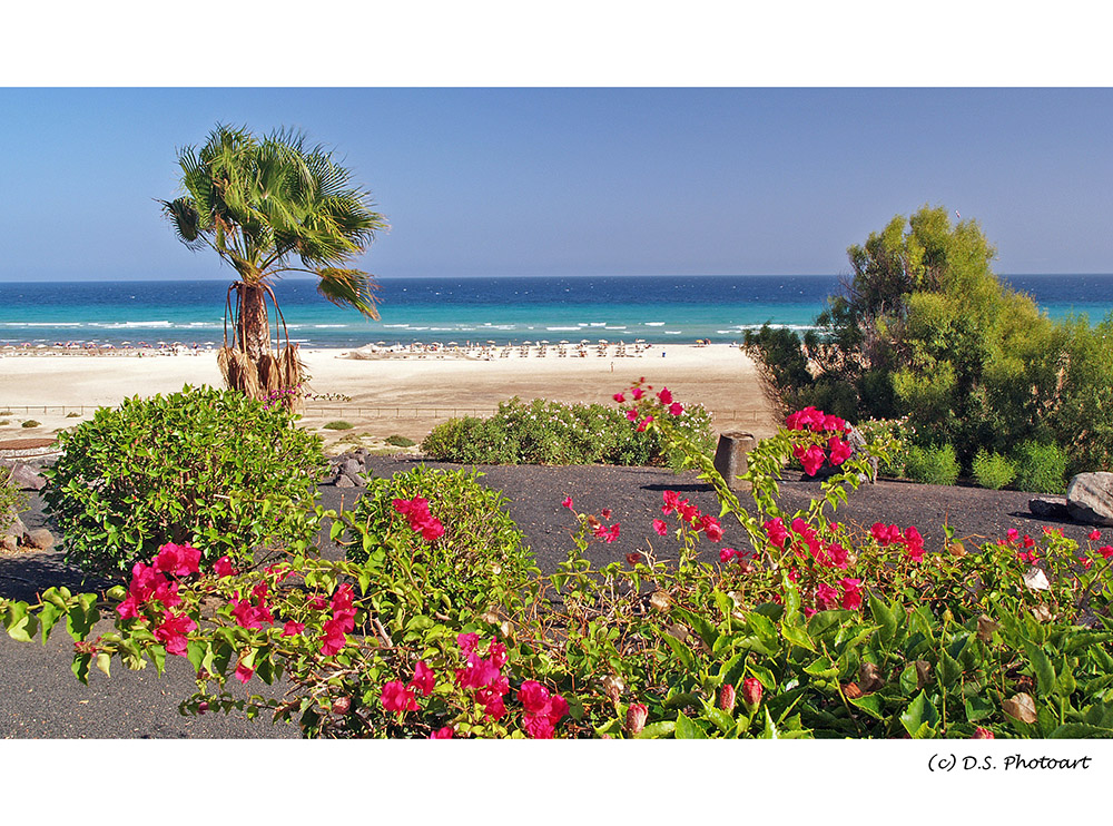 Colors of Fuerteventura