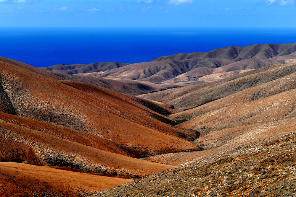 ...Colors of Fuerteventura...02