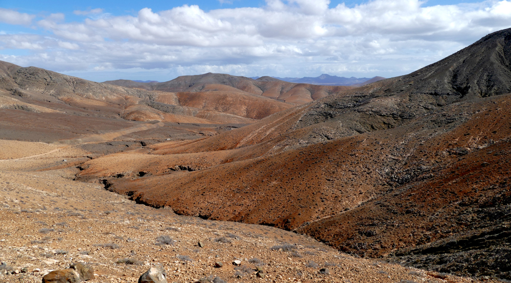 ...Colors of Fuerteventura...10