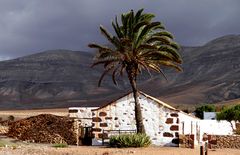 ...Colors of Fuerteventura...12