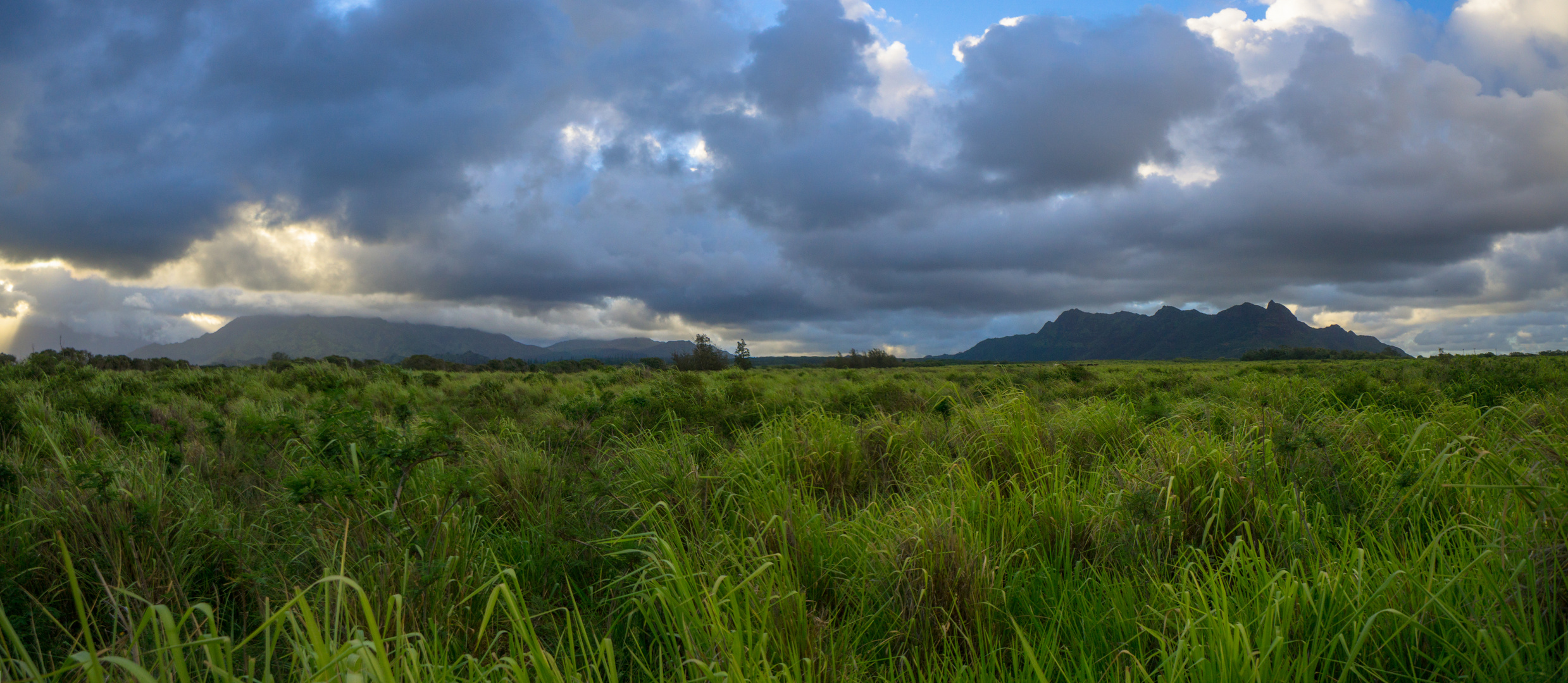 Colors of Hawaii