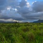 Colors of Hawaii