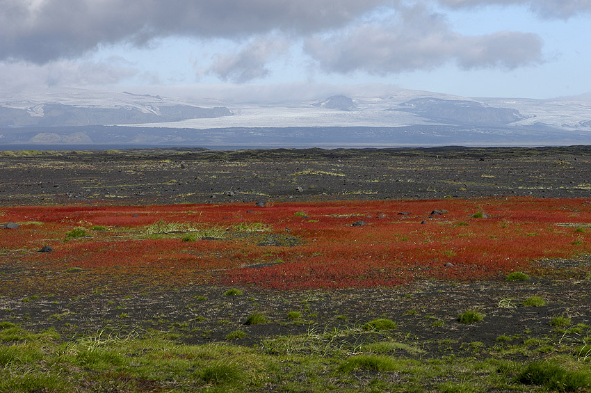 Colors of Iceland #2 - South Iceland