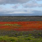 Colors of Iceland #2 - South Iceland