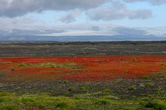 Colors of Iceland #2 - South Iceland