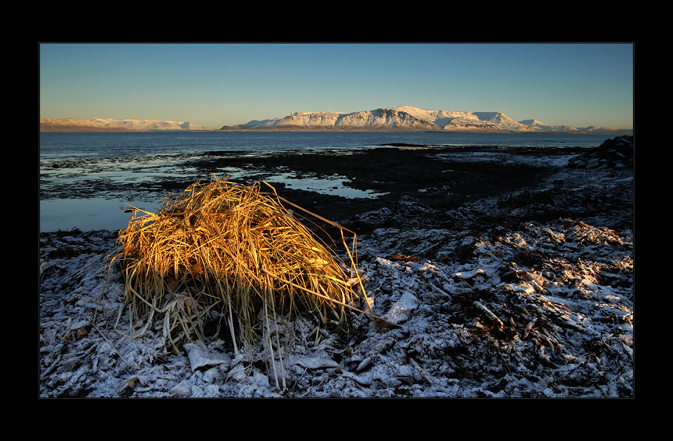 [ colors of Iceland ]