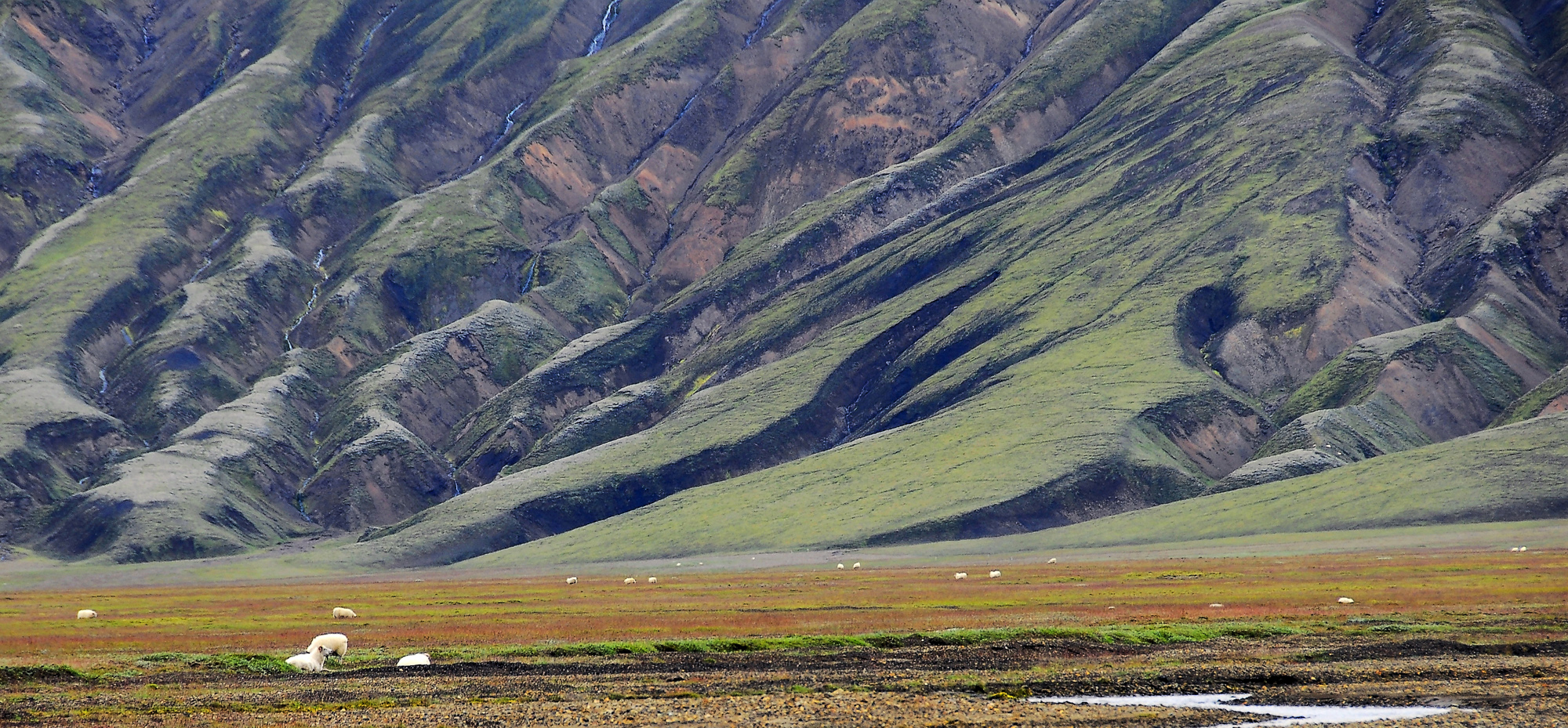 Colors of Iceland