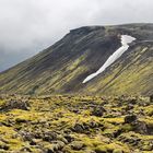 Colors of Iceland - Moosland