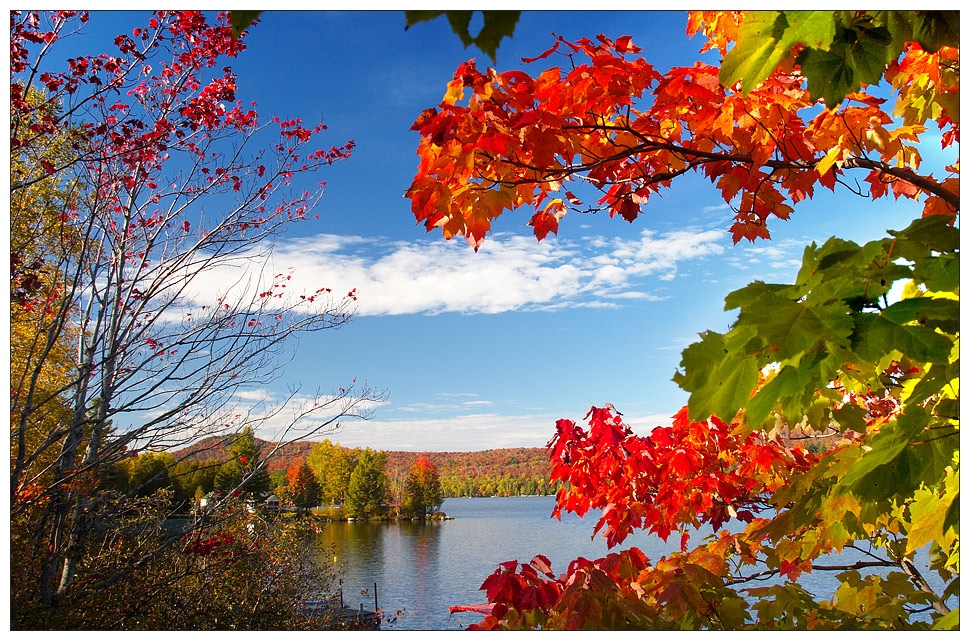 Colors Of Indian Summer 1