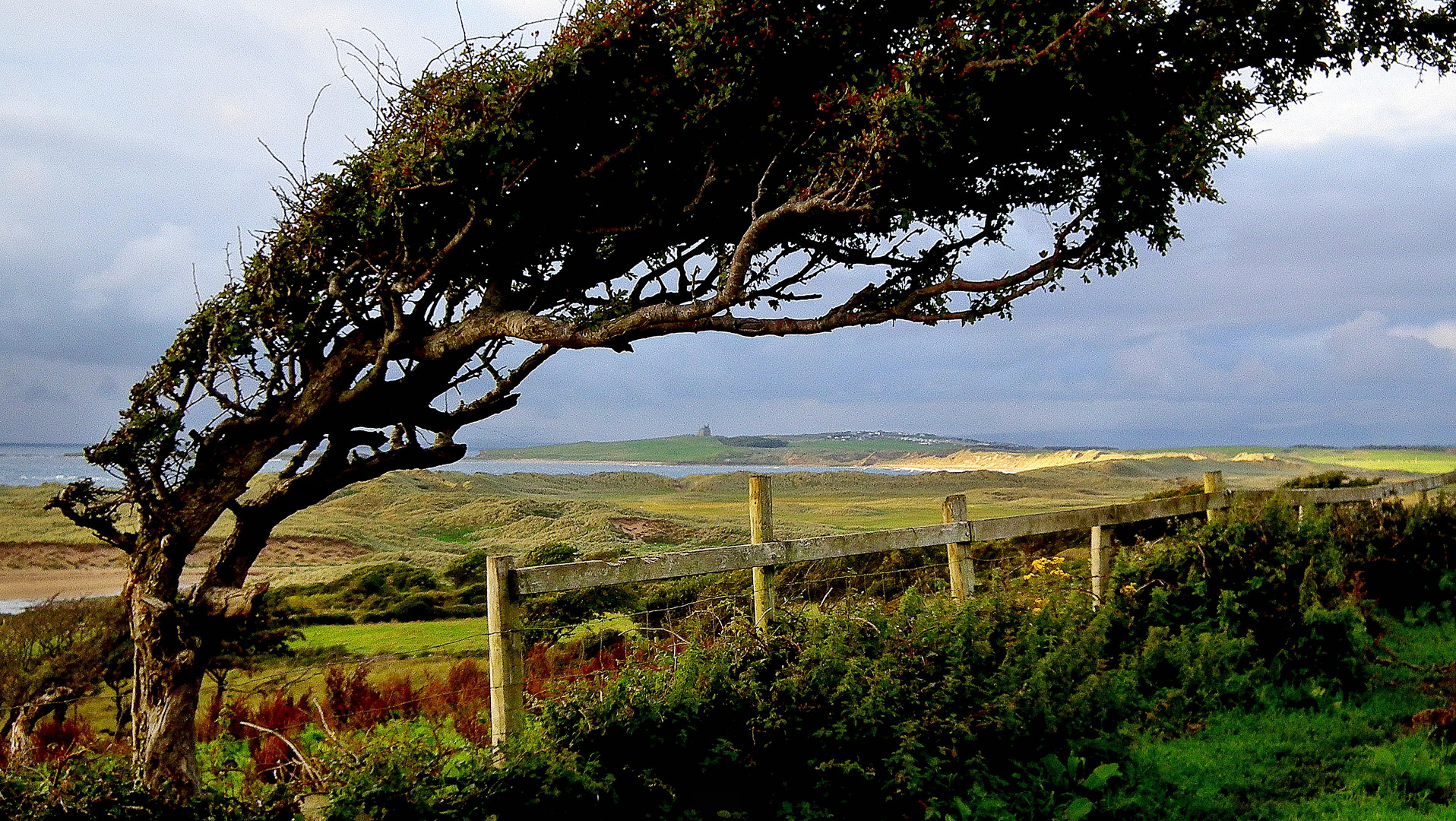 Colors of Ireland