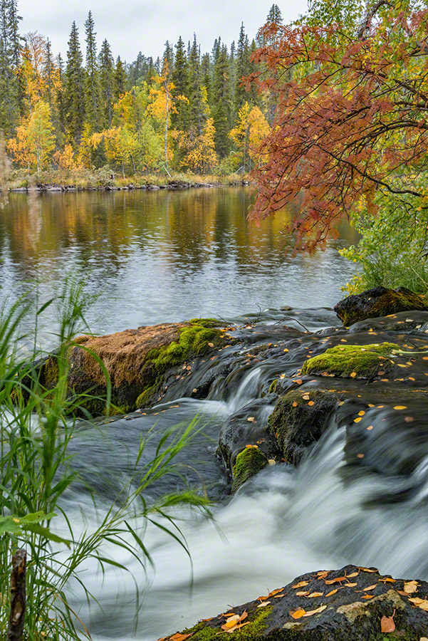 Colors of Lapland - Daytime I  /  Die Farben Lapplands - Am Tag I