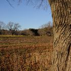 Colors of Late Fall - Appleton Farm, Massachusetts