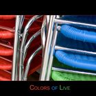Colors of Life 1