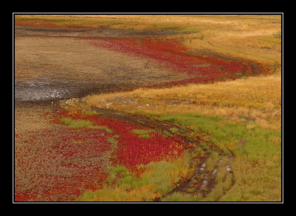 colors of nature