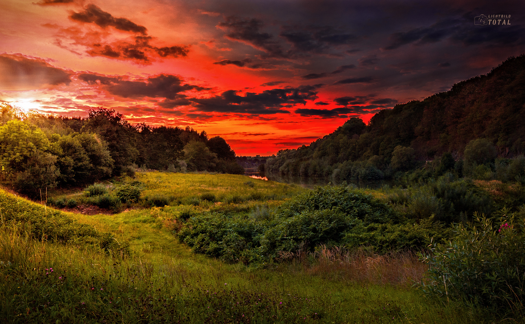 Colors of Nature