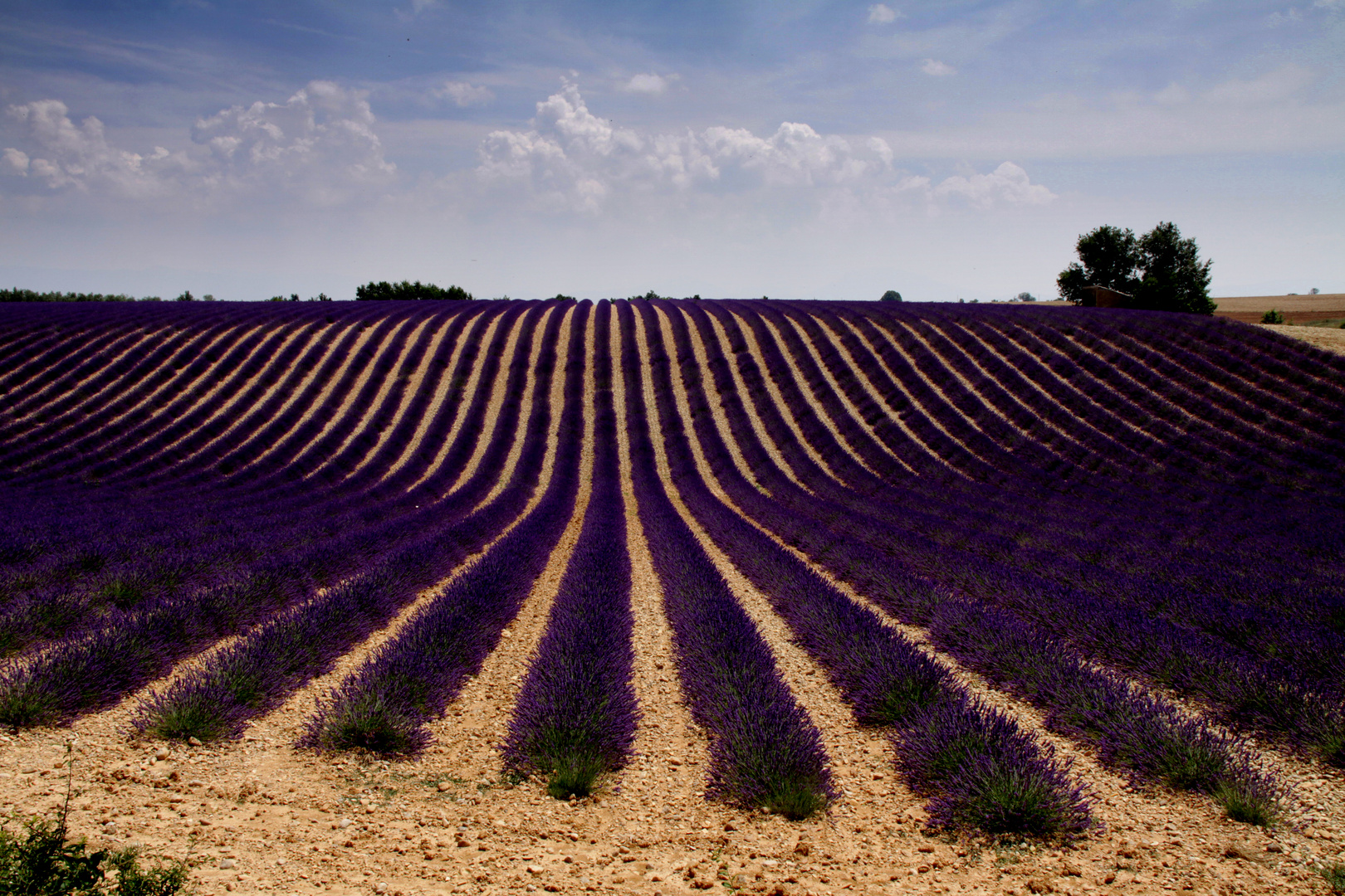 Colors of Provence 3