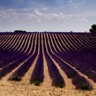 Colors of Provence 3