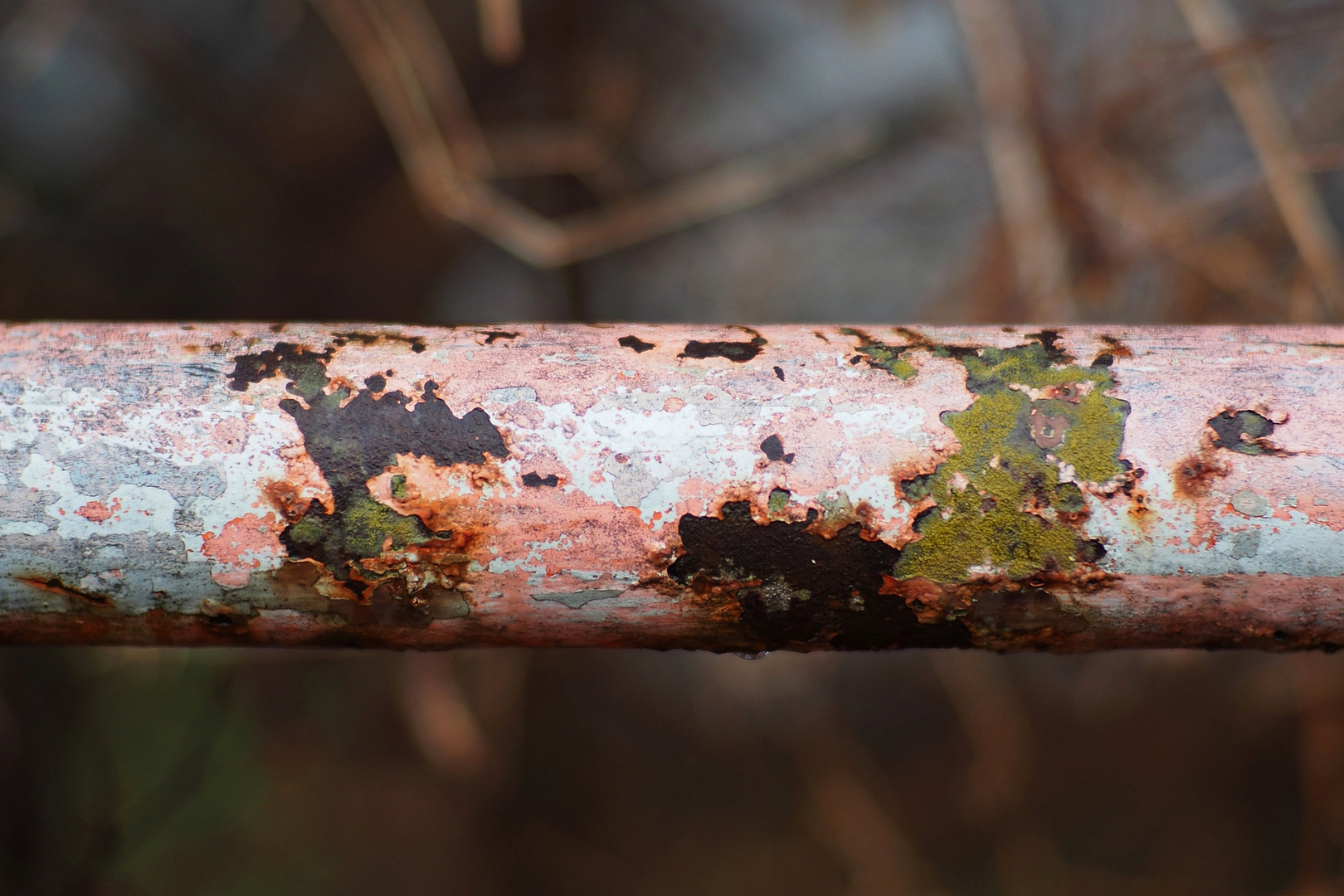 colors of rust