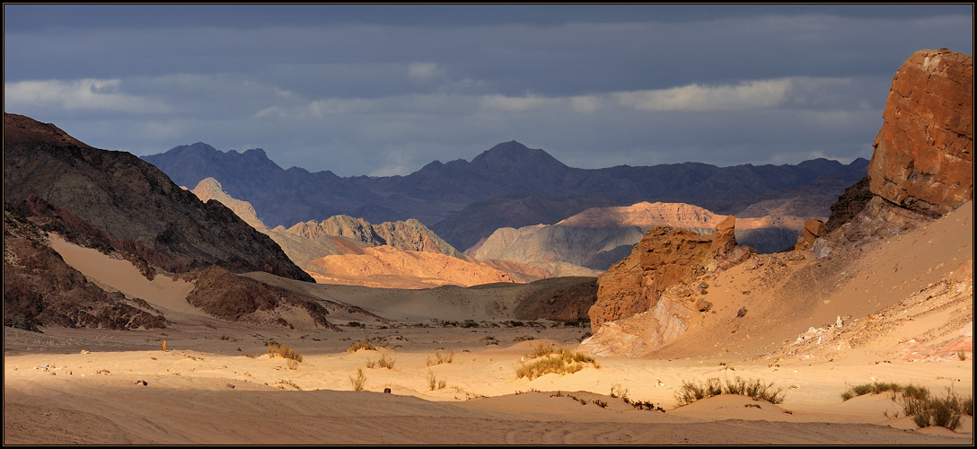 *Colors of Sinai*