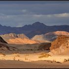 *Colors of Sinai*